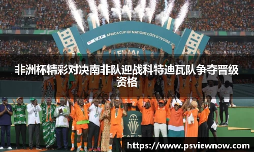 非洲杯精彩对决南非队迎战科特迪瓦队争夺晋级资格